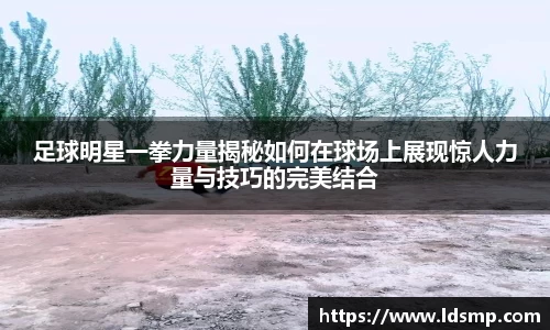 优游国际